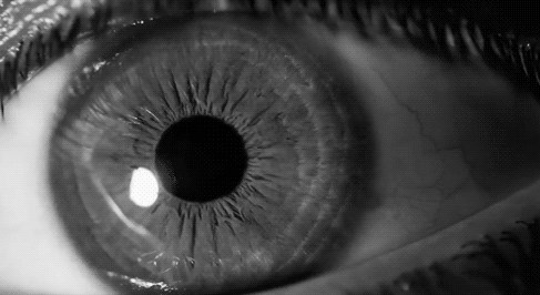 insan gözü kaç megapiksel